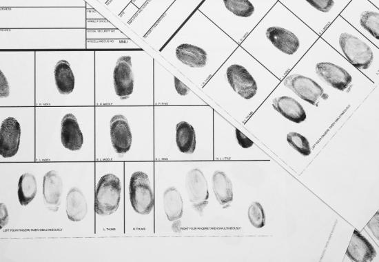 Papiloscopia Forense: aplicações na investigação criminal | Jus Expert 